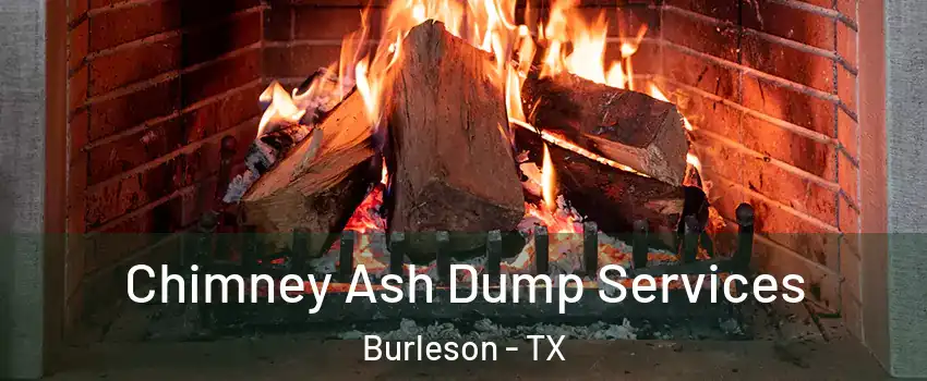  Chimney Ash Dump Services Burleson - TX